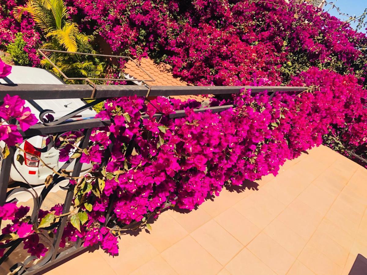 Petite Flower Guest House Talata-maty Dış mekan fotoğraf