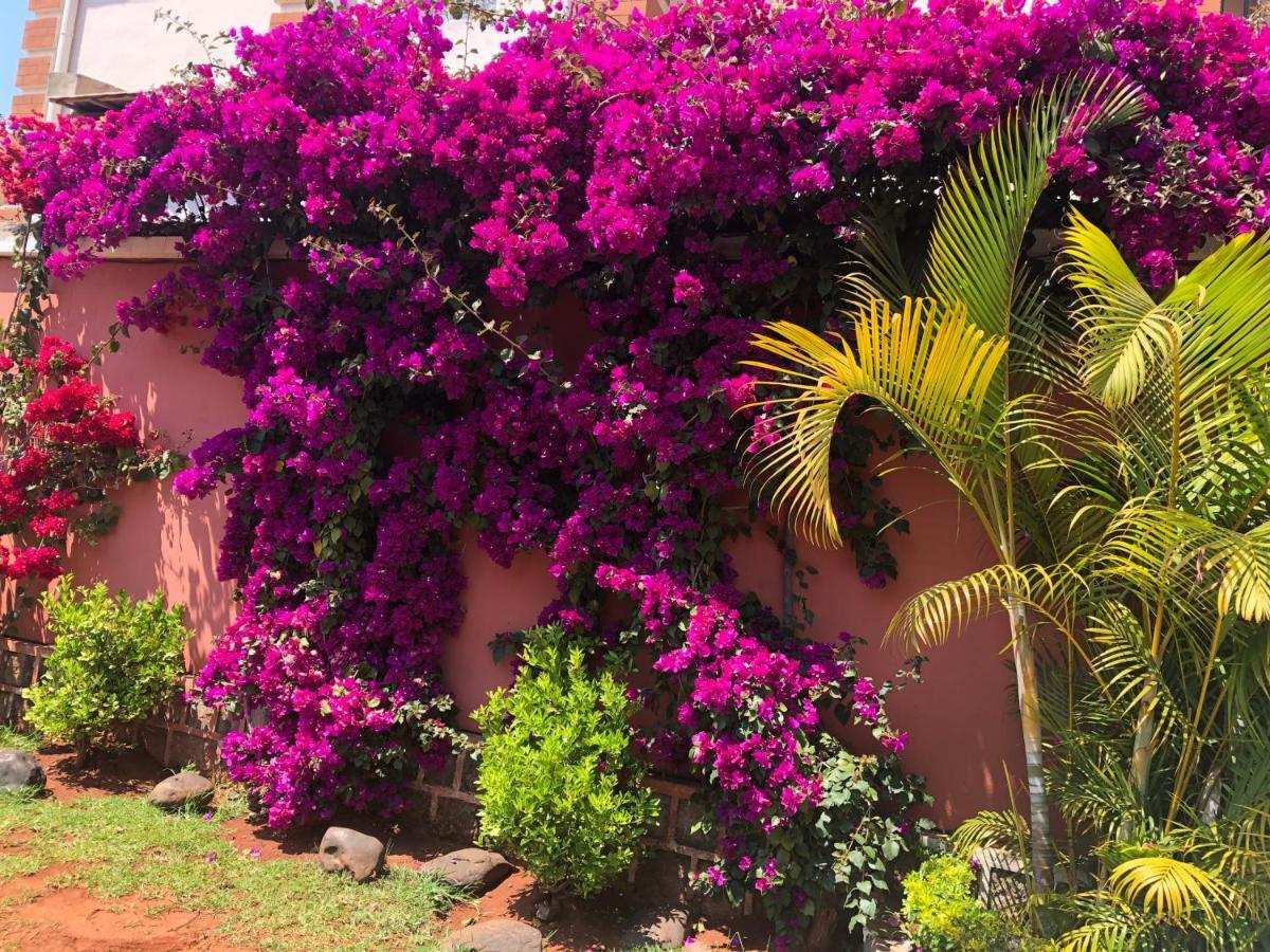 Petite Flower Guest House Talata-maty Dış mekan fotoğraf
